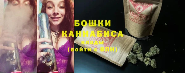прущие грибы Белокуриха