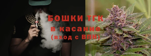 прущие грибы Белокуриха