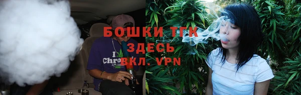 индика Белоозёрский