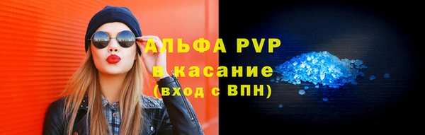 прущие грибы Белокуриха