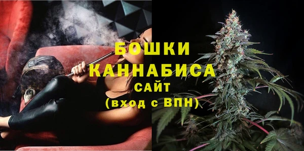 индика Белоозёрский