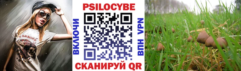 Псилоцибиновые грибы мицелий  Шелехов 